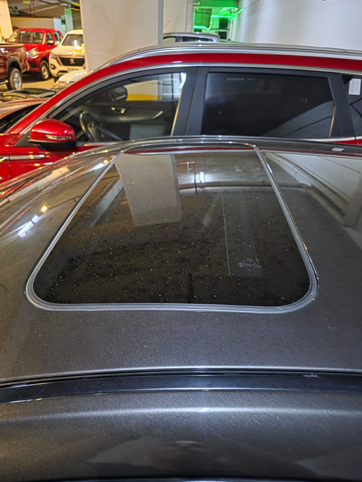 WhatsApp Image 2025-11-13 at 18.56.44